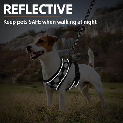 PUPTECK Soft Mesh Dog Harness and Leash Set Pet Puppy Cat Comfort Padded Vest No Pull Harnesses, Checkered Black&White, XS - color: Checkered Black&White, size: XS (NECK: 10", CHEST: 10"-14")