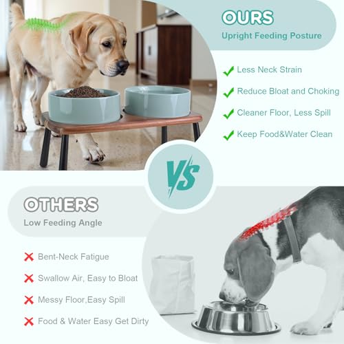 SPUNKYJUNKY Ceramic Elevated Dog Bowls Raised with Acacia Bamboo Wooden Stand, 8.3'' Dog Food Water Bowls Set Non-Slip for Medium Large Sized Breed Microwave Dishwasher Safe - 60 OZ,Light Green - color: Light Green, size: 8.3 in - Dual