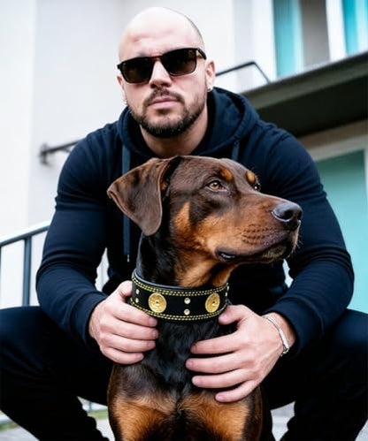 Leather Dog Collar, 2 inches Wide Heavy Duty Genuine Leather Collars, Handmade, Soft, and Luxury, Eye-catching Best Choice for Large and Medium Breed Dogs, Black-Gold 18.5-22.5 in - color: Black-Gold, size: 18.5-22.5 in