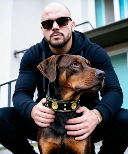 Leather Dog Collar, 2 inches Wide Heavy Duty Genuine Leather Collars, Handmade, Soft, and Luxury, Eye-catching Best Choice for Large and Medium Breed Dogs, Black-Gold 21-25 in - color: Black-Gold, size: 21-25 in