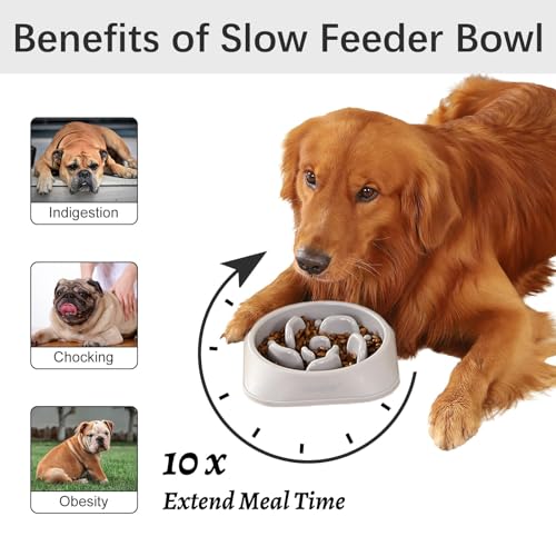 MateeyLife Slow Feeder Dog Bowls, Anti-Choking Puzzle Dog Food Bowls, Anti-Slip Interactive Feeding Slow Down Eating, Bloat Stop Maze Dishes for Medium Large Breeds Gray - color: I-Gray, size: Medium