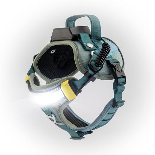 Lumi One LED Dog Harness for Night Visibility and Safety, Patent Pending – Light-Up Dog Vest, Reflective, Adjustable, Rechargeable, Durable, High-Visibility Pet Gear (Teal Blue, Extra Large) - color: Blue, size: Extra Large