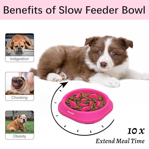 MateeyLife Small Slow Feeder Cat Bowls, Anti-Choking Puzzle Cat Food Bowls, Non Slip Interactive Dog Feeding Slow Down Eating, Bloat Stop Maze Dishes Dog Feeder for Small Breeds 1 Cup Purple - color: J-Purple, size: Small