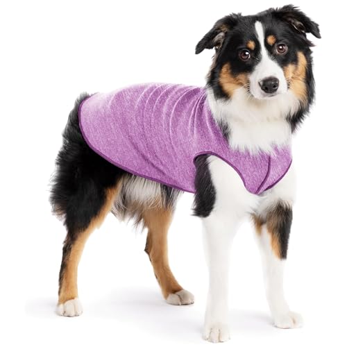 Goldpaw Dog Sun Shirt with UV Protection - Lightweight, Cooling Sun Protection Clothing for Medium Dogs - Reduce Heat Absorption - Made in the USA - Machine Washable - Violet - Size 14 - color: Violet, size: 14