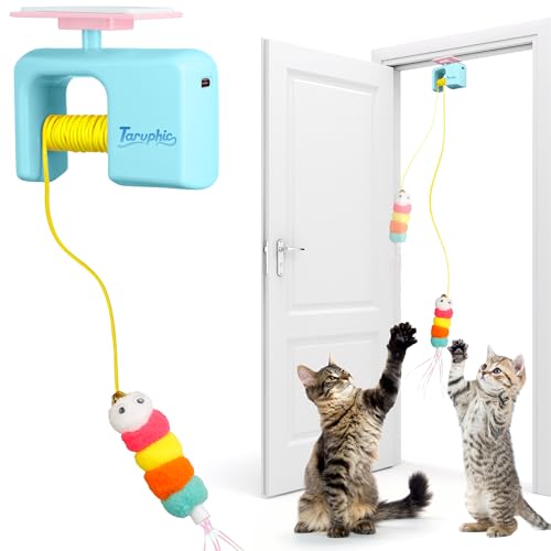 Interactive Cat Toy for Indoor Cat, Automatic Door Hanging Cat Toy with Detachable Design, Kitten Toys for Indoor Cats Self Play, 3.27 * 1.69 * 2.76Inch (Sky Blue) - color: Sky Blue