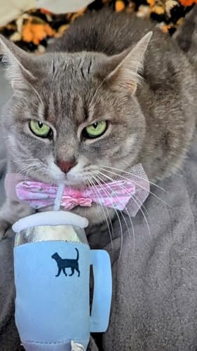 PUPROAR Kitty Cup Catnip Toy - Cute Cat Birthday Toy with Catnip & Crinkle, Funny Girly Kitten Gift (Chambray Blue) - color: Chambray Blue