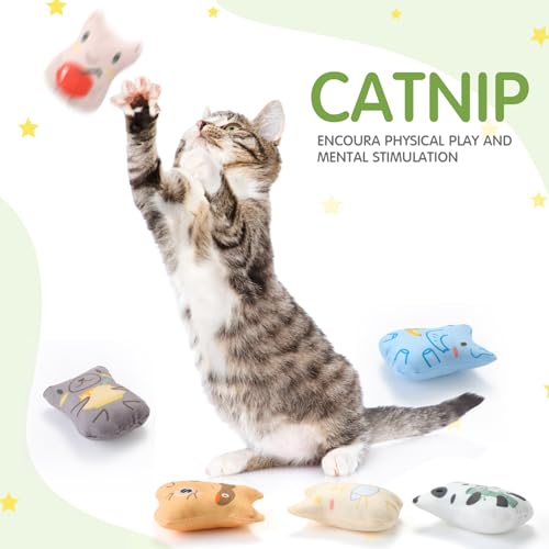 Gejoy 20 Pack Catnip Toys for Indoor Cat Plush Kitten Cat Chew Toys Catnip Kitten Entertaining Interactive Safe Teeth Cleaning Dolls(Charming) - style: Charming