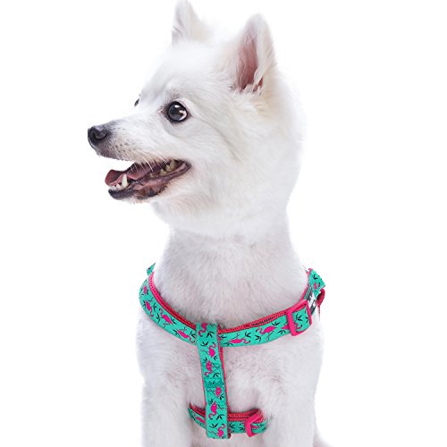 Blueberry Pet Essentials 2 Patterns Step-in Pink Flamingo on Light Emerald Dog Harness, Chest Girth 26" - 39", Large, Adjustable Harnesses for Dogs