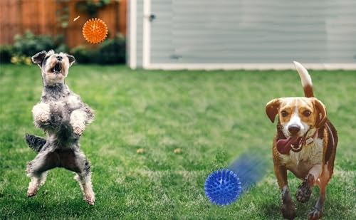 Jalousie Dog Squeaky Toys Value Set Non-Toxic Squeaky Balls Toss Fetch TPR Rubber Puppy Toys Spikey Dog Chew Toy for Small Medium Breed Pet Toys for Puppy (3 Pack Spiky Balls) - color: 3 Pack Spiky Balls