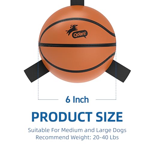 QDAN Dog Ball Basketball Toys, Balls with Straps, Dog Water Toy Pool Toys for Small Medium Dogs (6 Inch) - color: Basketball, size: 6 Inch