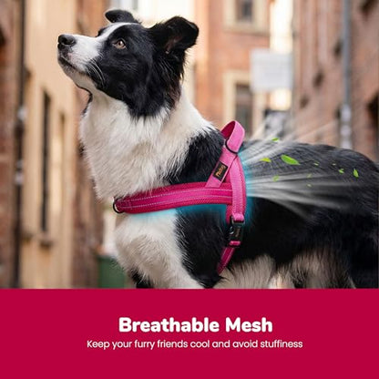 Didog No Pull Dog Harness with Soft Mesh Padded,Reflective & Quick Fit Light Weight Dog Strap Vest Harness,Easy for Walking Training (M:Chest 21-26", Mesh-Hot Pink) - color: Hot Pink, size: M: Chest 21-26", Fit 28-50 lbs
