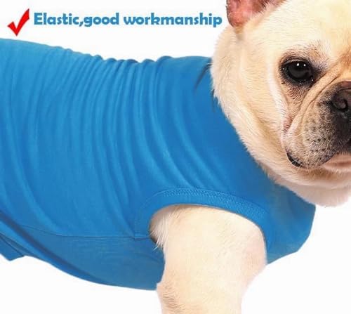 Dog Blank Blue Shirt,Boy Girl Dogs Cats Tee Shirts,Plain Small Chihuahua T-Shirt,S Blue Royal Small - color: Blue & Royal, size: Small