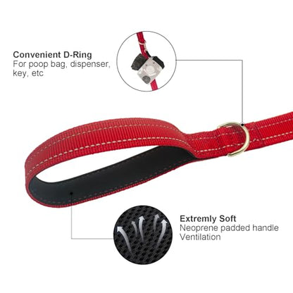 Dual Padded Handle Standard Dog Leashes with Reflective Stitching,360° Rotatable Heavy Duty Metal Buckle,D-Ring,Durable Nylon,for Medium Sized Dogs from 20 to 60 Pounds Walking and Training Red, 5Ft - color: Red, size: 5Ft