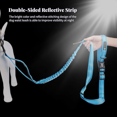 Heavy Duty Multifunctional Adjustable Hands Free Dog Leash - Reflective Stitches, Car Safety Buckle, Waist Leash for Dog Walking, Running, Hiking - 5-7FT - color: Blue