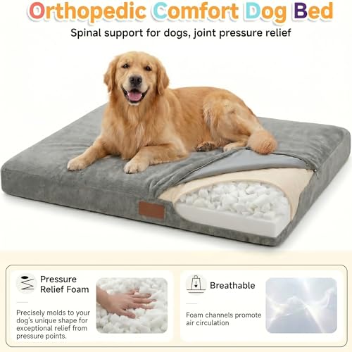 Indestructible Dog Beds Large Sized Dog, Dual-Layer Crate Bed Construction with Sponge and Memory Foam with Removable Washable Cover, Ultra Soft Surface & Non-Slip Bottom-42 x27 - size: 42"L x 27"W x 3"Th