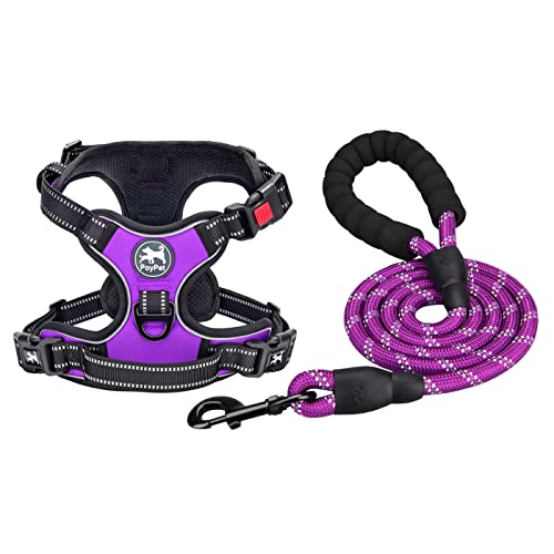 PoyPet Dog Harness and Leash Combo, Escape Proof No Pull Vest Harness, with 5 Feet Leash, Reflective Adjustable Soft Padded Pet Harness with Handle for Small to Large Dogs(Purple,M) - color: Purple, size: Medium