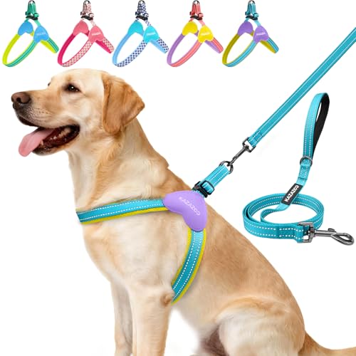 Kazazoo No Pull Small Dog Harness and Leash Set, Adjustable Puppy Soft Vest Harness with Breathable Mesh Padded, Reflective Lightweight Harness with Buckle for Small Medium Dogs, Blue M - color: Yellow&Blue, size: M