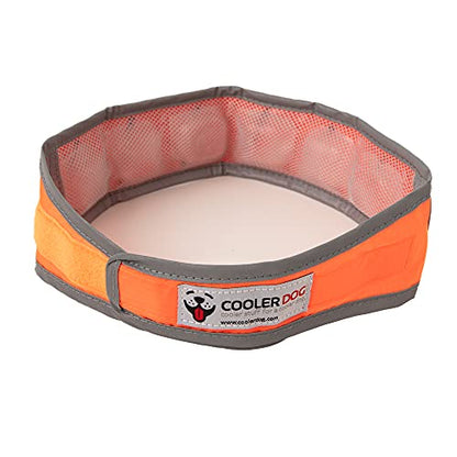 CoolerDog Hi-Vis Cooling Dog Collar for Large Dogs – Reflective Re-Freezable Ice Collar for Hot Weather & Heat Relief (Orange, Large) - size: Large