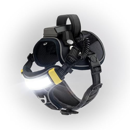 Lumi One LED Dog Harness for Night Safety & Visibility, Patent-Pending Dogs Safety Gear, Rechargeable Dog Harness with Reflective Pet Apparel, Adjustable & Durable Pet Vest (Black, Extra Large) - color: Black, size: Extra Large