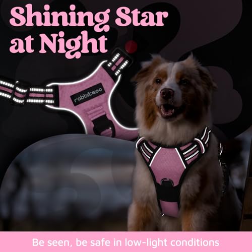 rabbitgoo Dog Harness Small Sized, No Pull Dog Vest with 3 Buckles, Adjustable Soft Padded Pet Harness with Easy Control Handle and Reflective Strips, Light Pink, S - color: Light Pink, size: Small