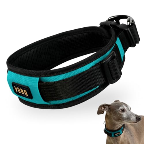 Padded Dog Collar for Large Medium Small Dogs, Wide Soft Lightweight Comfortable Fit, Adjustable Durable Dog Collar for Everyday Use – VURQ Comfort Collar (Blue, Medium) - color: Blue, size: Medium