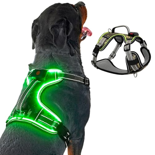 LED Light Up Dog Harness for Safety Night Walking, Glow in The Dark Soft Mesh Lighted Safety Vest USB Rechargeable - Illuminated No Pull Reflective Dog Harness for Medium Dogs (Green, M) - color: Green-LED, size: Medium