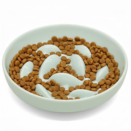 Anti-Bloat Ceramic Slow Feeder Bowl - Fish Pool Design Interactive Puzzle Feeder for Cats & Small Dogs, Food-Safe Porcelain Healthy Eating Dish (Green-Ceramic) - color: Green-Ceramic