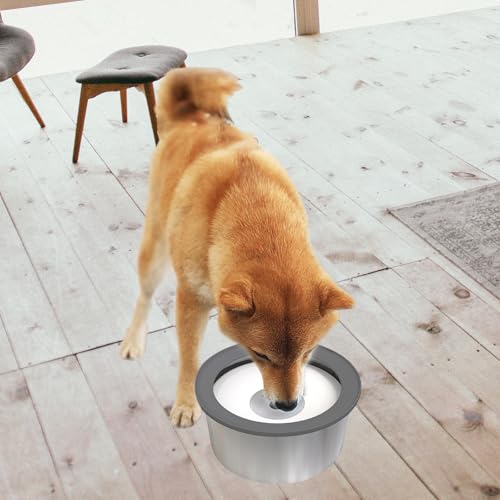 Stainless Steel Dog Bowl Spill-Proof Anti-Slip Base Large Breeds 1.6L / 2L / 3L Dishwasher Safe Elevated Dog Bowls - color: 3L