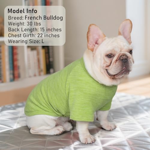 KYEESE 3Pack Small Dog Sweater, Soft Puppy Sweatshirt Stretchy Pullover Dog Sweater for Small Dogs Girl Boy, Fleece Lightweight Cat Shirt Pet Clothes with Sleeves, S - color: 09# Green, size: Small (4-8lbs)