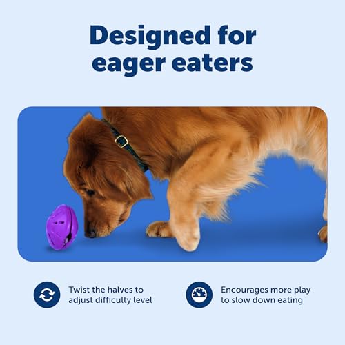 PetSafe Busy Buddy Twist 'n Treat Dispensing Dog Toy - Large - size: Large (Pack of 1)