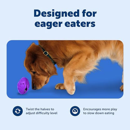 PetSafe Busy Buddy Twist 'n Treat Dispensing Dog Toy - Large - size: Large (Pack of 1)