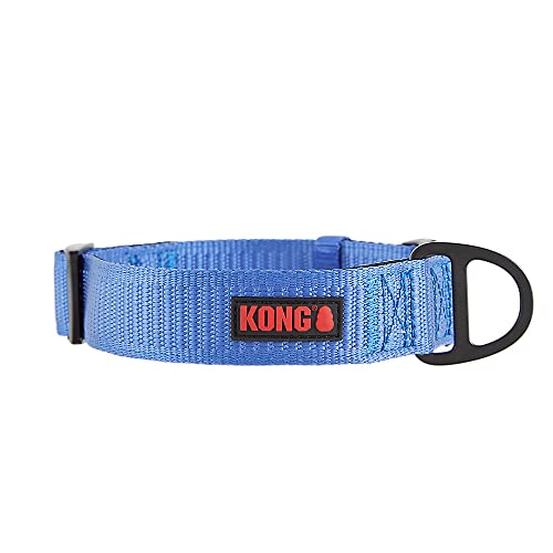 KONG Max HD Ultra Durable Neoprene Padded Dog Collar (XL, Blue)