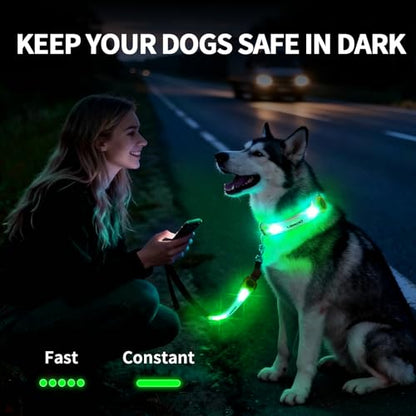 LaRoo LED Dog Collar Light, High Visibility Pet Safety Night Light with Hook & Loop, Waterproof Glow LED Strip for Dog Collar Leash Harness, Perfect for Night Walking Running, Camping, Outdoor, Green - color: Green