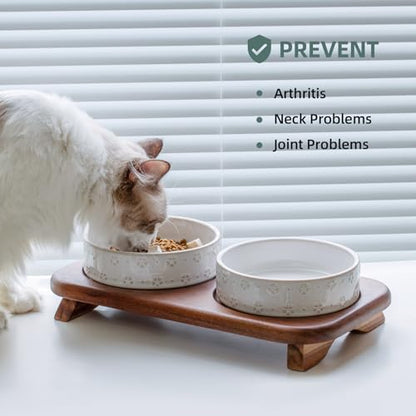 Havniva Cat Food Bowl, 6.1" Raised Cat Bowls with Acacia Wood Stand, Elevated Cat Bowls Ceramic Pet Food & Water Bowl Set, Extra Wide Whisker Friendly Elegant Pet Bowls for Kitten, Cats, Puppy - color: 2 Bowls+Stand- Arctic White