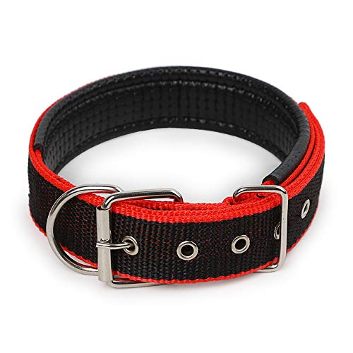 Padded Nylon Dog Collar with Soft Lining, Metal Buckle, Multiple Colors, 3x58cm, Neck Size 38-47cm (Black face and red Edge) - color: Black face and red edge