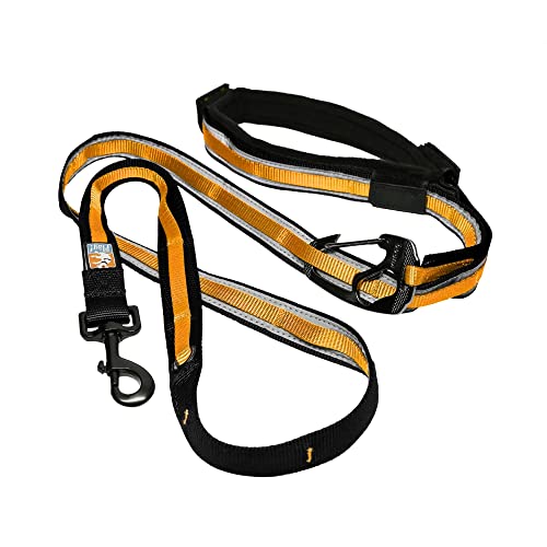 Kurgo Quantum Leash 2.0 - Versatile for Running or Walking - 6 in 1 Dog Leash - Hands-Free Dog Leash - Adjustable - Strong & Durable - Black/Orange - color: Black/Orange