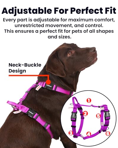 Non-Restrictive No Pull Dog Harness, Neck Buckle Design, Back Handler, Easy Walk Freedom Harness Keep Balance, Sewn-in Instructions Labels, for Large Dogs Chest(25-35 inches), Purple - color: Purple, size: L