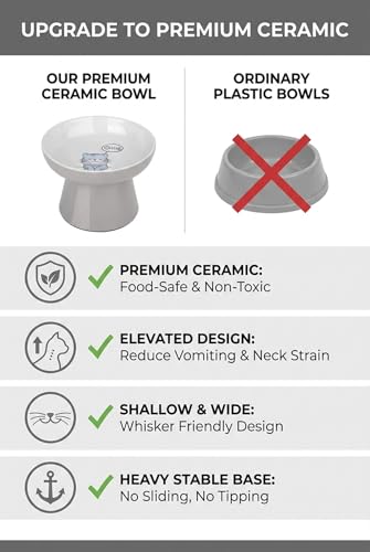 Elevated Ceramic Cat Bowl – Wide Whisker-Friendly Raised Design to Reduce Vomiting & Improve Digestion, Non-Slip Base, Lead & Cadmium Free, Dishwasher Safe (Grey) - color: Grey