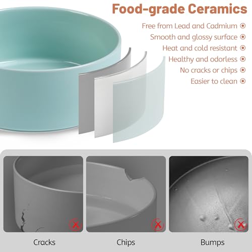 Dog Bowls, Non Slip Heavy Ceramic Dog Food and Water Bowl with Silicone Base, Pet Feeding Bowl for Puppies, Small and Medium Dogs (Glossy Light Green, 6 Inches) - color: Glossy Light Green, size: 6 Inches