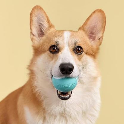 Playology Dog Toys | Squeaky Chew Ball - Bouncy Durable Floating Fetch Ball for Dogs | Medium Peanut Butter Scented Toy - Easy to Clean and Made from Non Toxic Materials - size: Medium, style: Peanut Butter