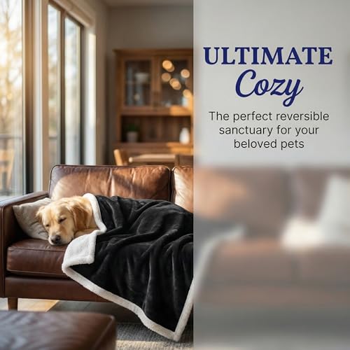 Dog Blankets for Large Dogs, Soft Fluffy Fleece Pet Blankets for Couch, Sofa, Dog Beds, Car Seats, Creat, Washable, 50x60 inches, Black - color: Black