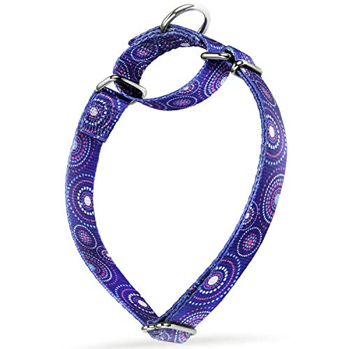 Martingale Collar Dog Collar No Pull Pet Collar Heavy Duty Dog Martingale Collars Silky Soft with Unique Pattern for Medium and Large Dogs (Medium, 1 Inch Wide, Firework Dots -Royal Blue) - color: Royal Blue Spark Dots, size: Medium: 14"-21", 1" Wide