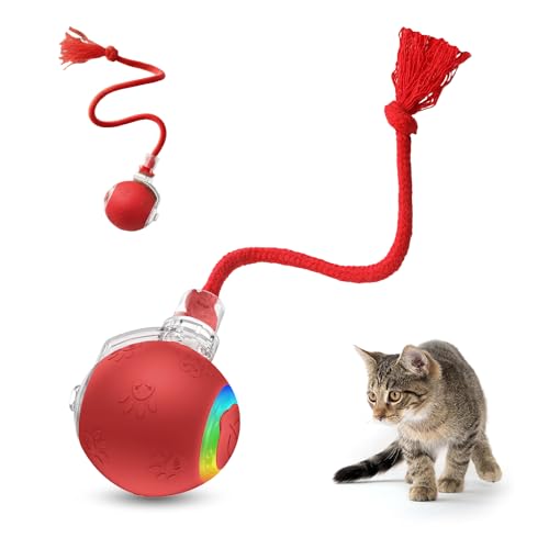 Interactive Cat Toys for Indoor Cats,Flying Bird Cat Kitten Toy,Moving Cat Toy for Bored Indoor Adult Pets,Smart Automatic Cat Chase Ball Toy (Red) - color: Red