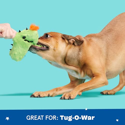 Barkbox 2 in 1 Interactive Plush Dog Toy - Rip and Reveal Toy for Dogs and Puppies - Stimulating Squeaky Pet Toys | Prickly Pete (Small) - color: Prickly Pete, size: Small Dog