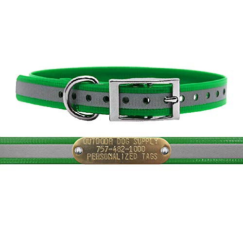 Outdoor Dog Supply Personalized 3/4” Reflective Dark Green Waterproof D-Ring Dog Collar for Small & Medium Dogs | 3/4" Custom Brass Nameplate (15") - color: Reflective Dark Green, size: 15" Long