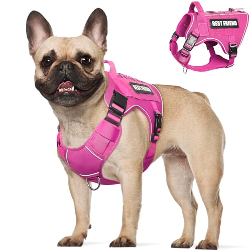 Tactical Dog Harness Medium Sized Dog,No Pull Military Dog Vest with Handle,Reflective Heavy Duty Pet Harness for Walking Hiking Training Pink M - color: Hot Pink, size: Medium