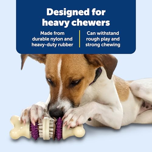 PetSafe Busy Buddy Bristle Bone Dog Chew Toy - Treat Holding Toothbrush Toy for Hard Chewers - Helps Keep Your Dog's Teeth Clean - Durable, Interactive - Purple, Large - size: Large, style: Bristle Bone