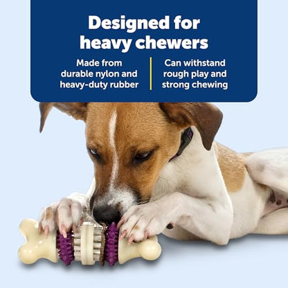 PetSafe Busy Buddy Bristle Bone Dog Chew Toy - Treat Holding Toothbrush Toy for Hard Chewers - Helps Keep Your Dog's Teeth Clean - Durable, Interactive - Purple, Large - size: Large, style: Bristle Bone