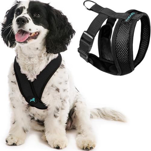 Gooby Comfort X Head in Harness - Black, Small - No Pull Dog Harness, Patented Choke-Free X Frame - Perfect on The Go Dog Harness for Medium Dogs No Pull or Small Dogs for Indoor and Outdoor Use - color: Black, size: Small Chest (11.75-15.5")