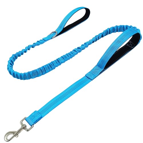 5FT Bungee Dog Leash with 2 Handles, Reflective Strong Nylon Traffic Leash, Shock Absorbing Lead for Large Medium Dogs Walking Training Controlling, Blue - color: Blue